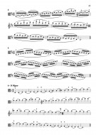 Notenbeispiel / Score example page 25