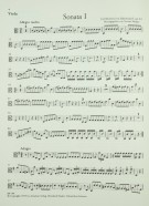 Notenbeispiel / Music example Viola