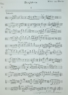 Notenbeispiel / Music example Viola
