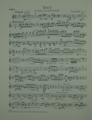 Notenbeispiel / Music example Violino