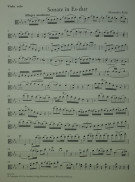 Notenbeispiel / Music example Viola