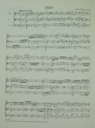 Notenbeispiel / Score example